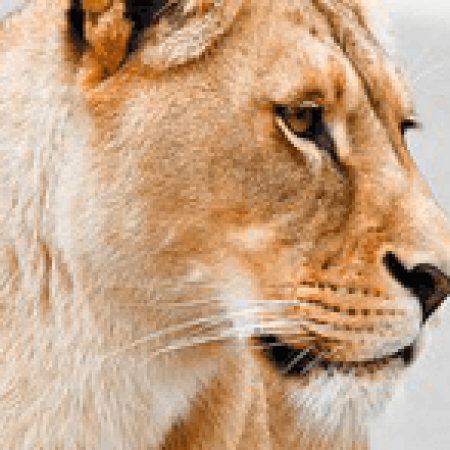 jooho293님의 프로필 사진