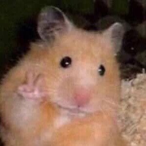 Ga-yo님의 프로필 사진